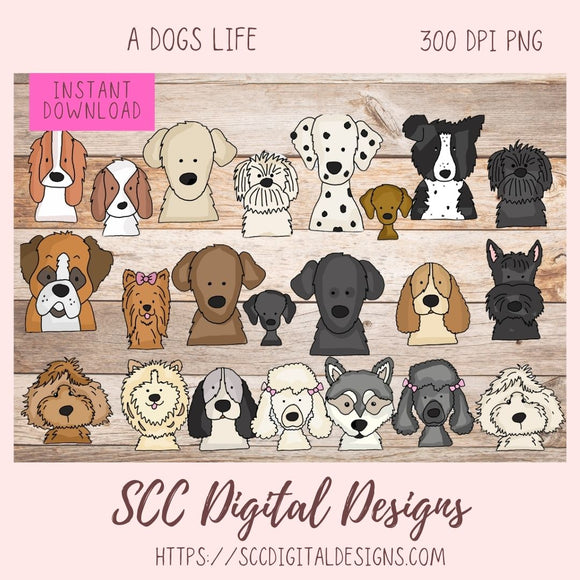Dog Breeds PNG Illustration Bundle
22 - 300 dpi png images