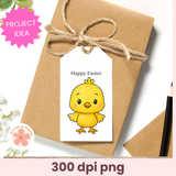 Gift box with a 'Happy Easter' tag featuring a cartoon chick, tied with twine on a white background.