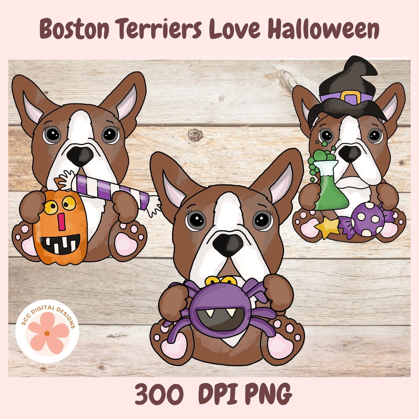 Digital clipart illustration of three Boston Terrier dogs in Halloween costumes on a light wood plank background, with the text 'Boston Terriers Love Halloween' at the top and '300 DPI PNG' at the bottom. A circular 'EC&CG Digital Designs' logo is visible in the lower left.