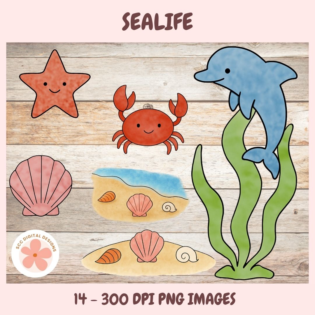 PNG Illustrations of sea creatures 14 total clipart elements
