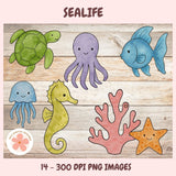 PNG Illustrations of sea creatures 14 total clipart elements