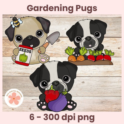 Three cartoon pugs gardening with vegetables and seeds on a wooden background
