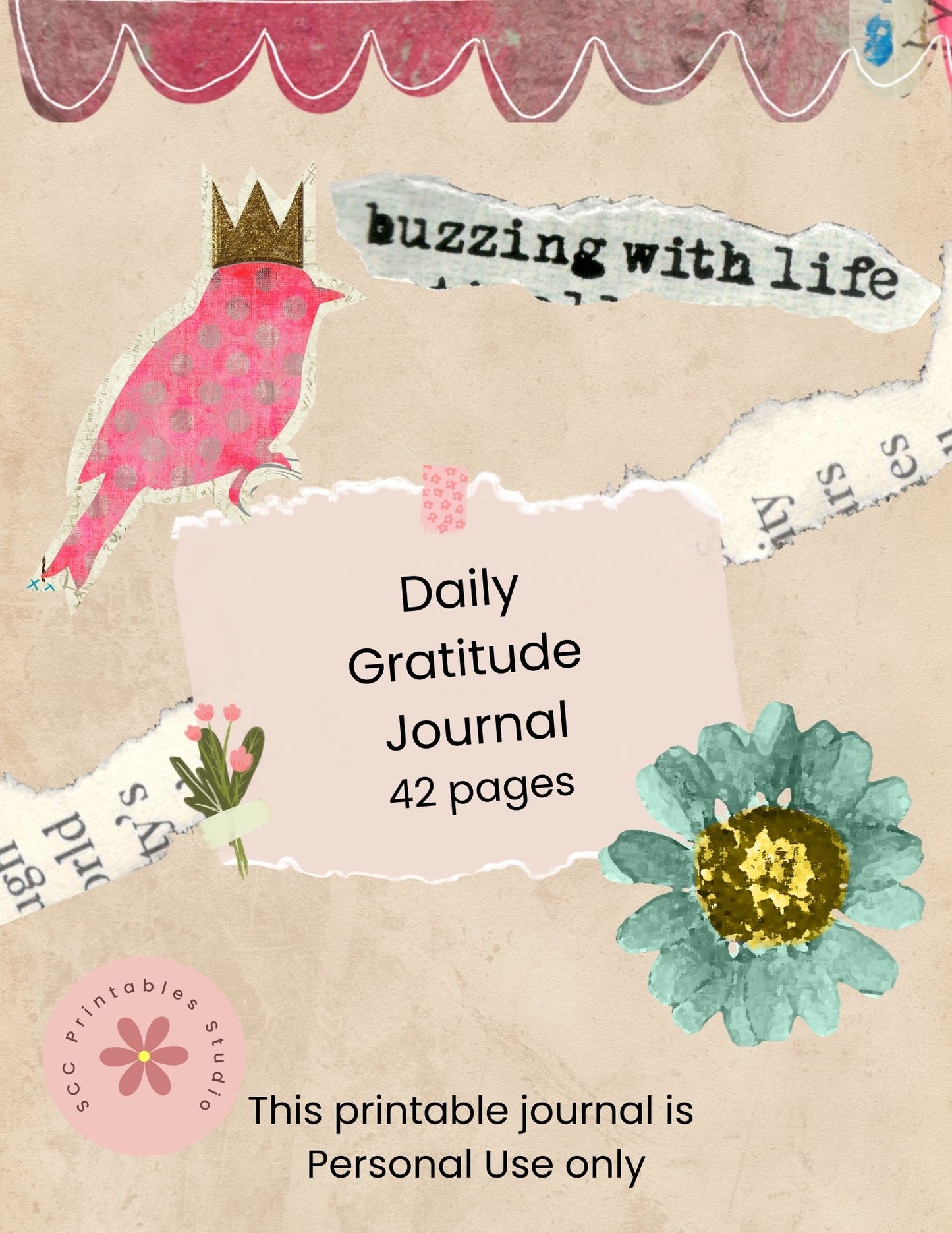 Cover of a 'Daily Gratitude Journal' with decorative elements and text.