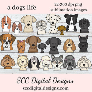 A Dogs Life Digital Clipart - Create Kids Printables - Commercial Use - 22 Dog Images, Border Collie, Dalmatian, Poodle, Husky