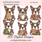 Red & White Boston Terrier Christmas Treats Clipart, Dog Lover Gift, T-Shirt & Hoodie Design, Teacher Resources, Instant Download, Commercial Use, Exclusive Clip Art Set, Craft Supplies, Scrapbook Elements, Personal Use  Our clipart files come to you as 300 dpi PNG images.